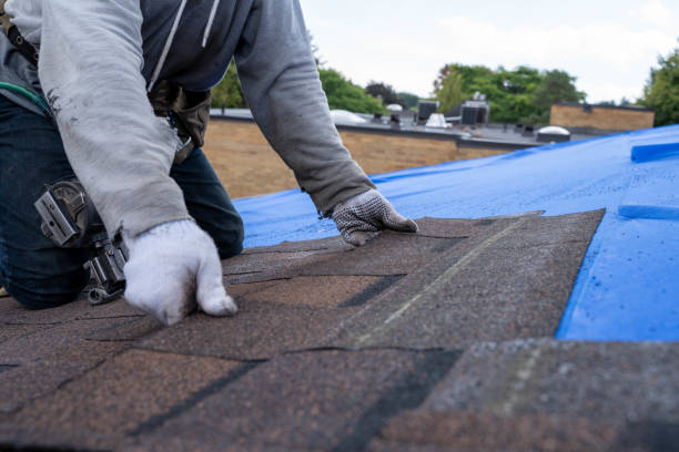 Best Metal Roofing Contractor  in Blue Ridge, VA