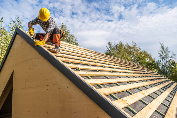 Best Roof Maintenance Services  in Blue Ridge, VA